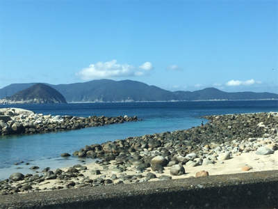 柏島のダイソージグ釣果