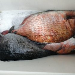 サンクスコース