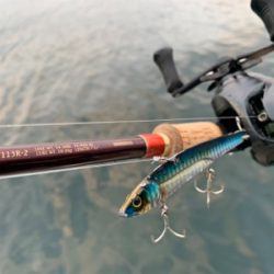 ニュータックルにゅーこんゴンッ♫