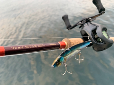 ニュータックルにゅーこんゴンッ♫