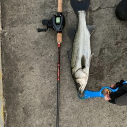 60アップ久しぶりだ━(ﾟ∀ﾟ)━!!