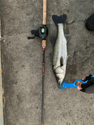 60アップ久しぶりだ━(ﾟ∀ﾟ)━!!