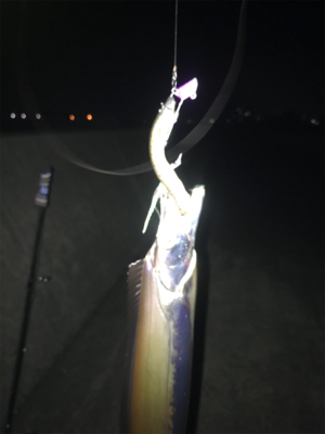 安定のタッチポン 陸