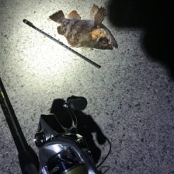 リベンジ淡路島