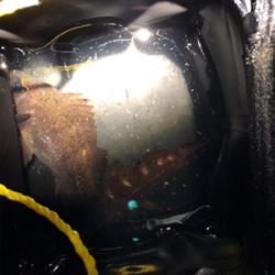 メバルを求めてランガン