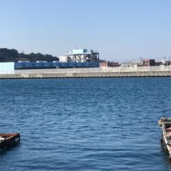 釣れたけどちっちゃ。。けど釣れたのだ!