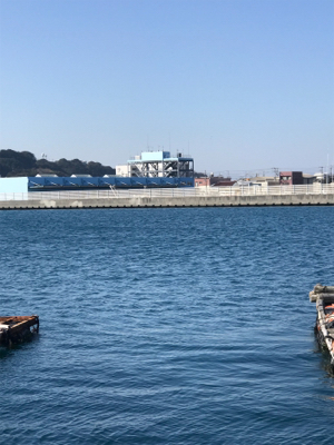 釣れたけどちっちゃ。。けど釣れたのだ!