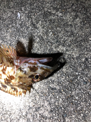 ロックフィッシュゲーム