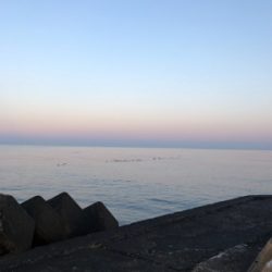 今日は寒かった！