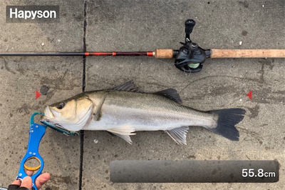 酔いどれガッツ♫