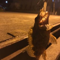 爆風樋島ライトゲーム