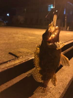 爆風樋島ライトゲーム