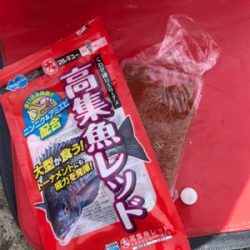 ノッコミチヌ シーズン初戦