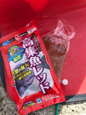 ノッコミチヌ シーズン初戦