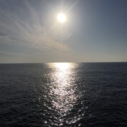 ヤリイカエギング