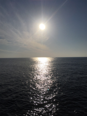 ヤリイカエギング