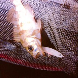 短時間メバプラタイム