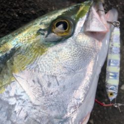 鬼ヶ城ライトソルト