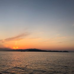 青物不発も、期待裏切らずのサバイワシ笑