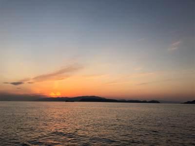 青物不発も、期待裏切らずのサバイワシ笑