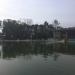 エリアトラウト