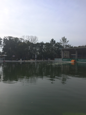 エリアトラウト