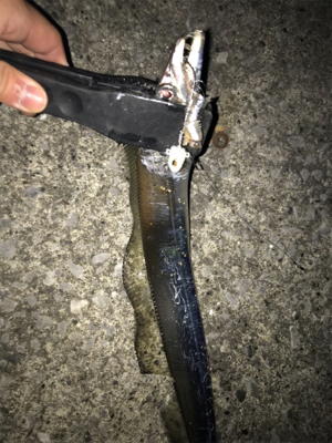 タチウオ入れ食い