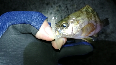 ナイトメバリング