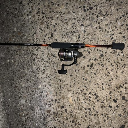 メバリングやっほい