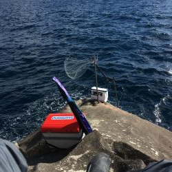 大島新ホリモンでグレ