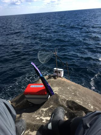 大島新ホリモンでグレ