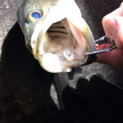 タフコンディション攻略するも?