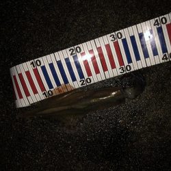 最後の一投で！