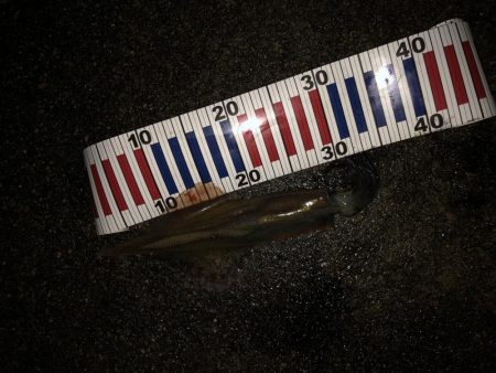 最後の一投で！