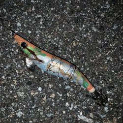 今回は中層でアタリ多数!