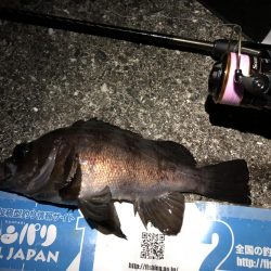 寒空メバリング