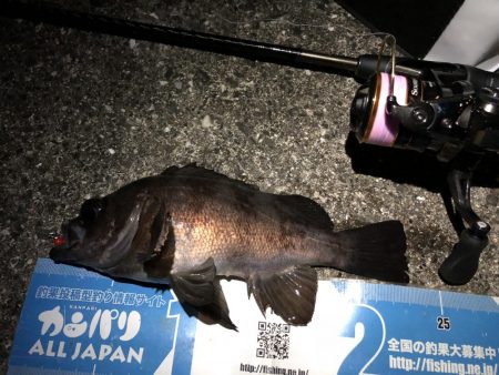 寒空メバリング