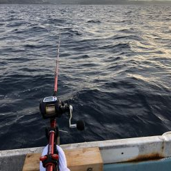 伝馬船でイシダイ釣れる