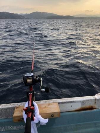伝馬船でイシダイ釣れる