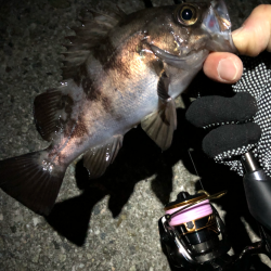 ぼちぼちメバリング