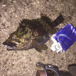 出張先の楽しみ①