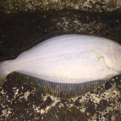 出張の楽しみ④最終日