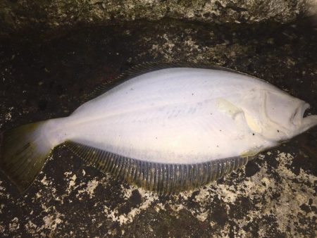 出張の楽しみ④最終日