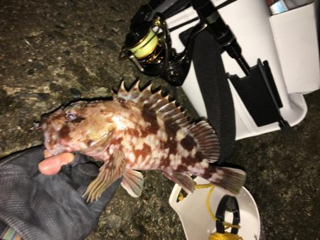 貧果から脱出です