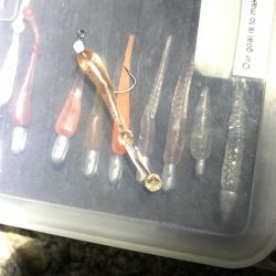 あいかわらず厳しい