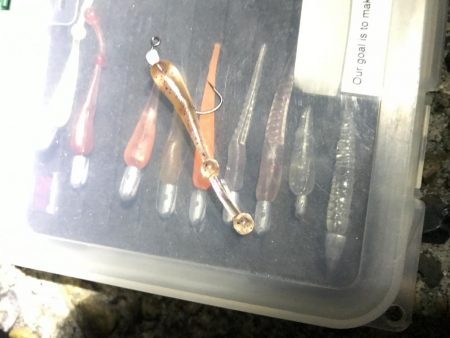 あいかわらず厳しい