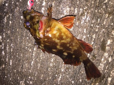 出張先の楽しみ②