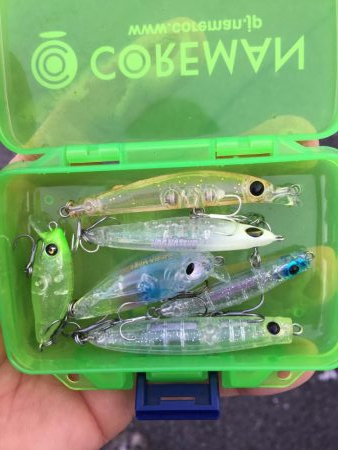 今宵もプラグ縛りメバリング