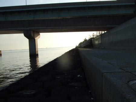 今期初チヌも、ロッド破損