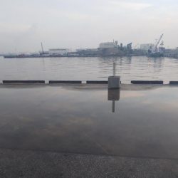 ライトエギング